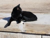 Ich bin die Schönste