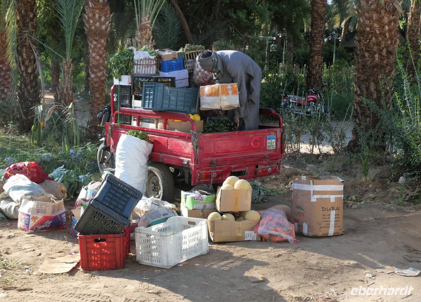 Essen für die neuen Gäste