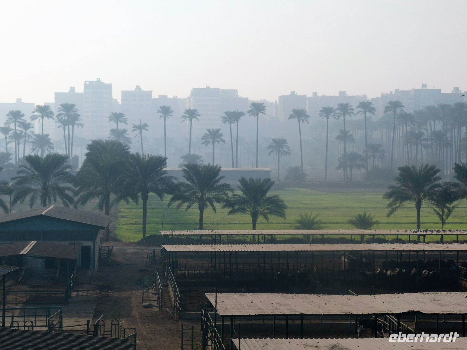 Kairo im Dunst
