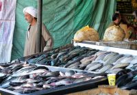 am Rande des Geschehens