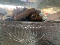 Leckeres Grillfleisch zum Mittagessen