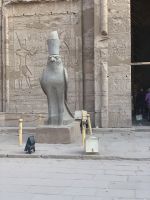 Falkengott Horus in Edfu