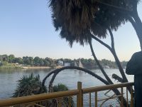 Der Botanische Garten auf der Kitchener-Insel