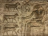 Relief im Tempel Abu Simbel