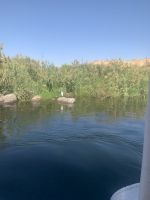 Naturschutzgebiet im Nil