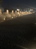 Sphinxallee in Luxor