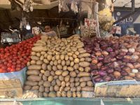 Reiche Auswahl an Obst und Gemüse