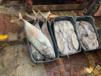 Fischmarkt in Hurghada