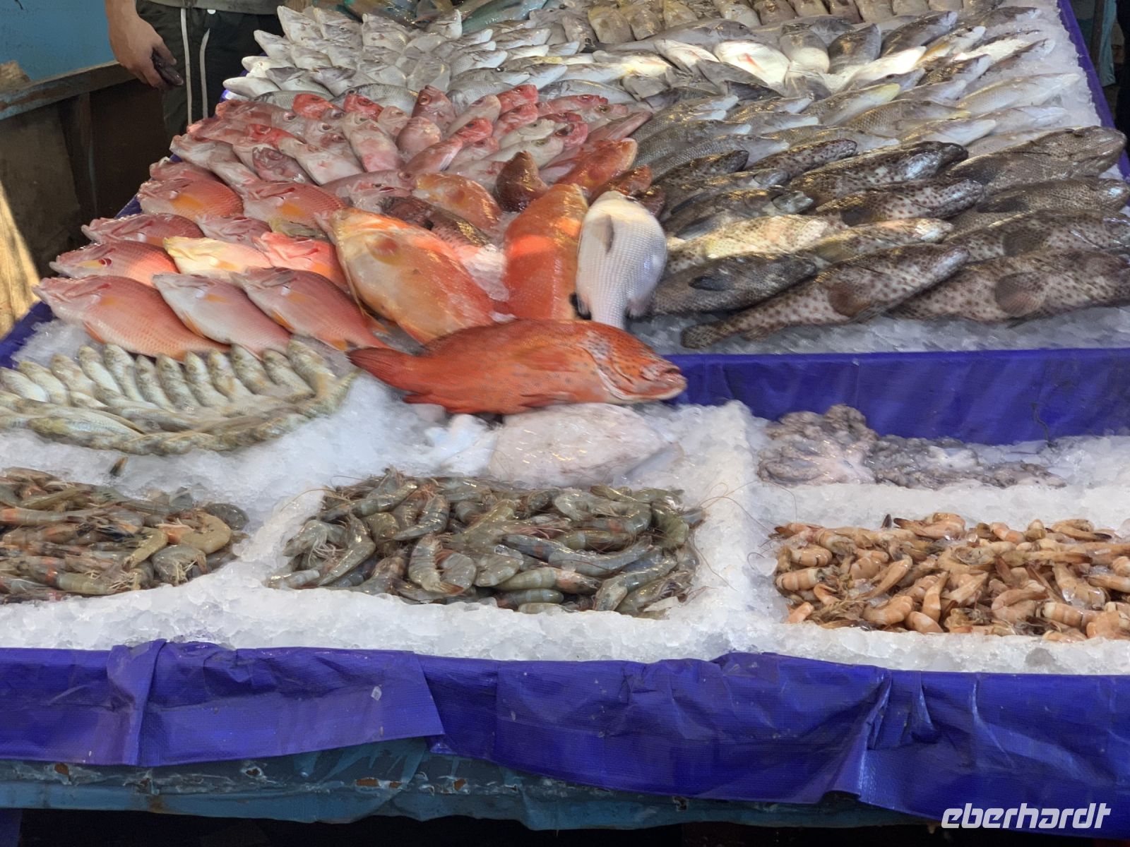 Fischmarkt in Hurghada