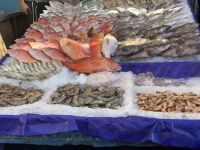 Fischmarkt in Hurghada