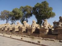 Sphingen - Allee in Karnak