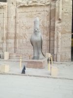 Horustempel: Falkengott Horus