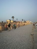 Luxor - Sphinxallee