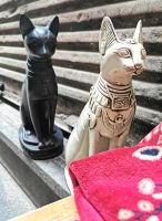 Katzen waren bei den alten Ägyptern beliebt und sind im heutigen Stadtbild allgegenwärtig, lebendig oder als Statuen