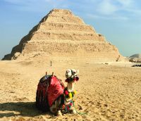 In Sakkara befinden sich die ältesten Stufenpyramiden der Welt