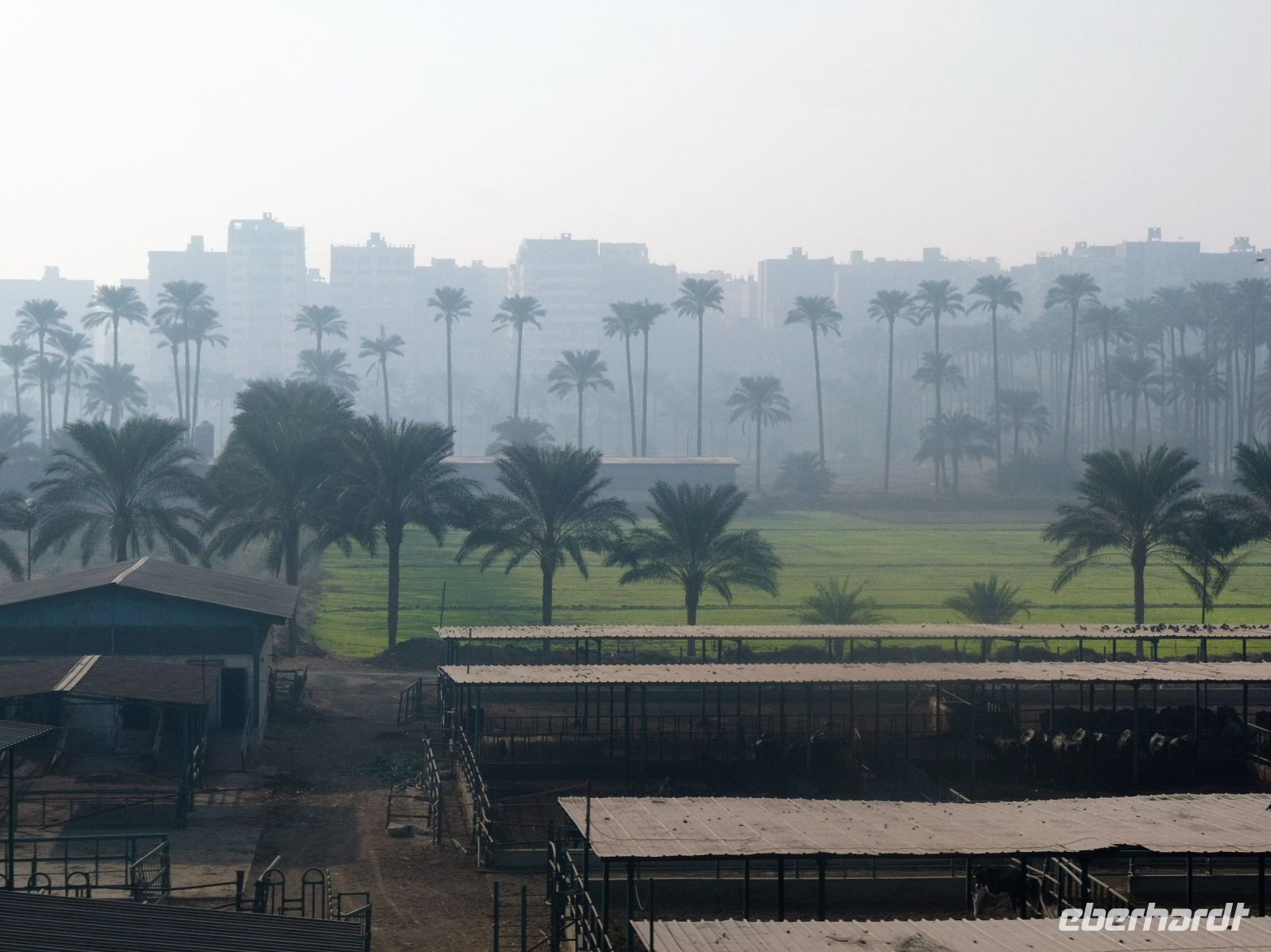 Kairo im Dunst