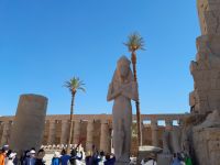 die Anlage füllt sich