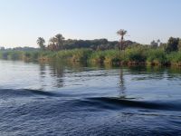 Morgenstimmung am Nil