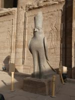 Falkengott in voller Größe