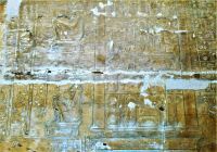 Chirurgisches Werkzeug