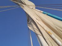 ein letzter Blick nach oben