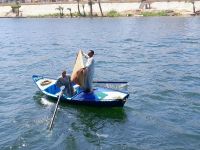 unermüdliche Händler