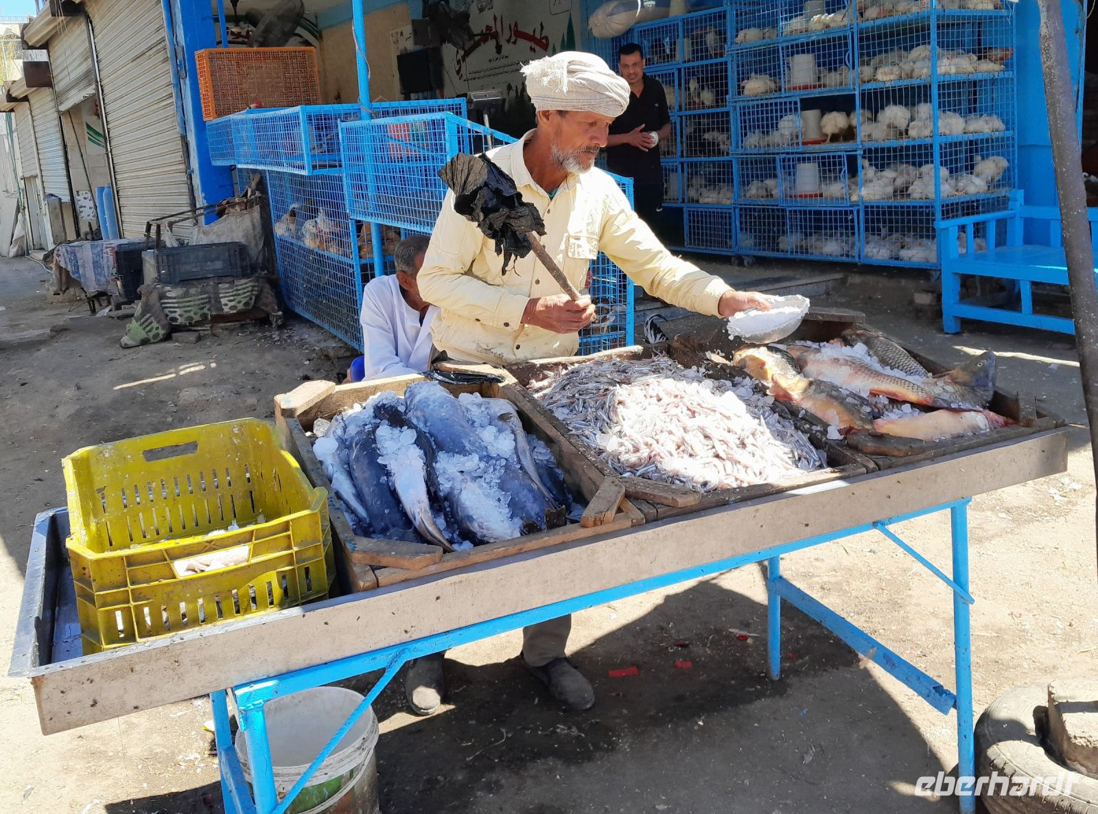 mit dem Fliegenwedel