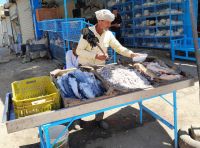 mit dem Fliegenwedel