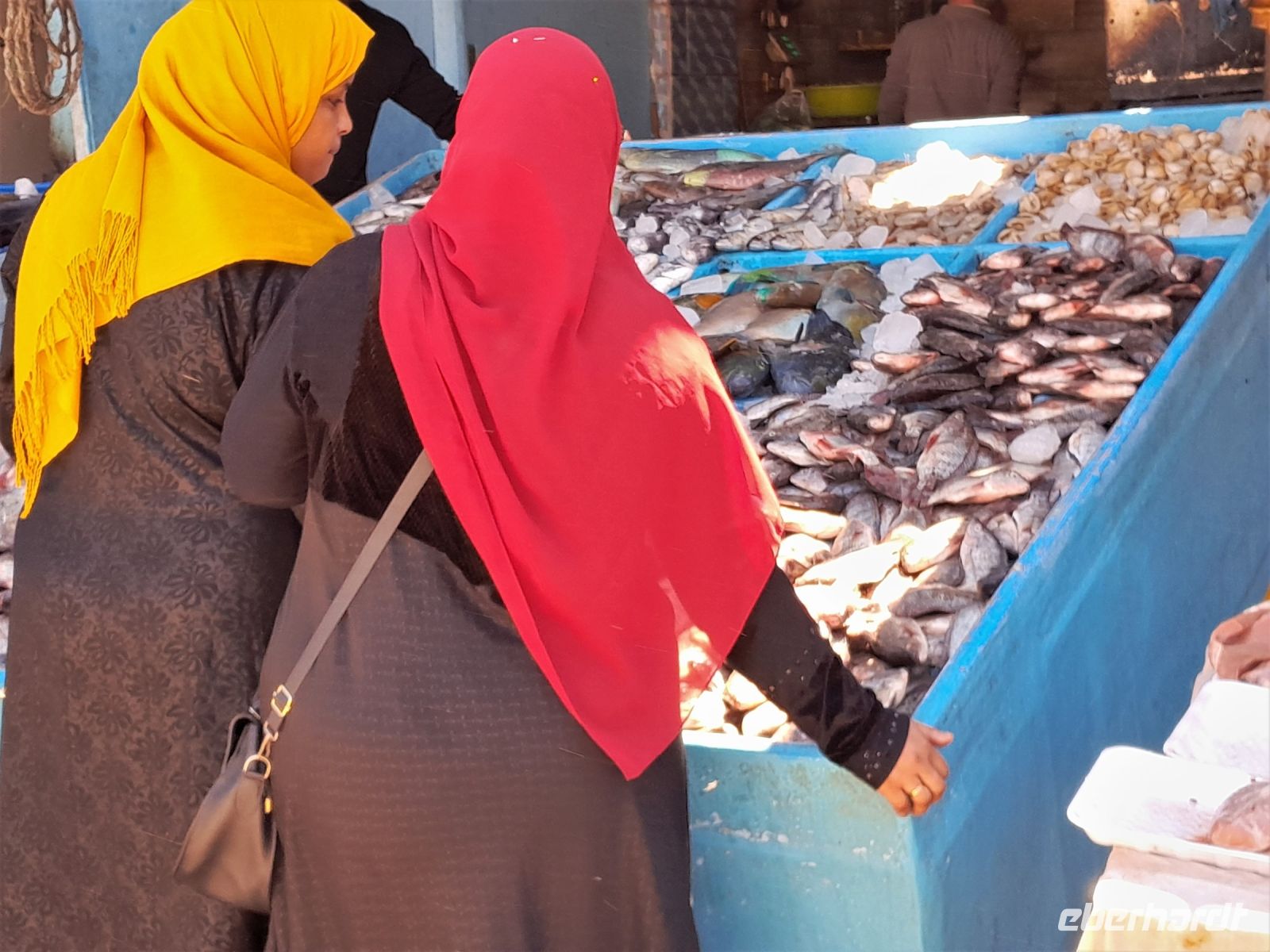 Wer die Wahl hat, hat die Qual