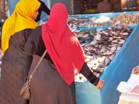 Wer die Wahl hat, hat die Qual