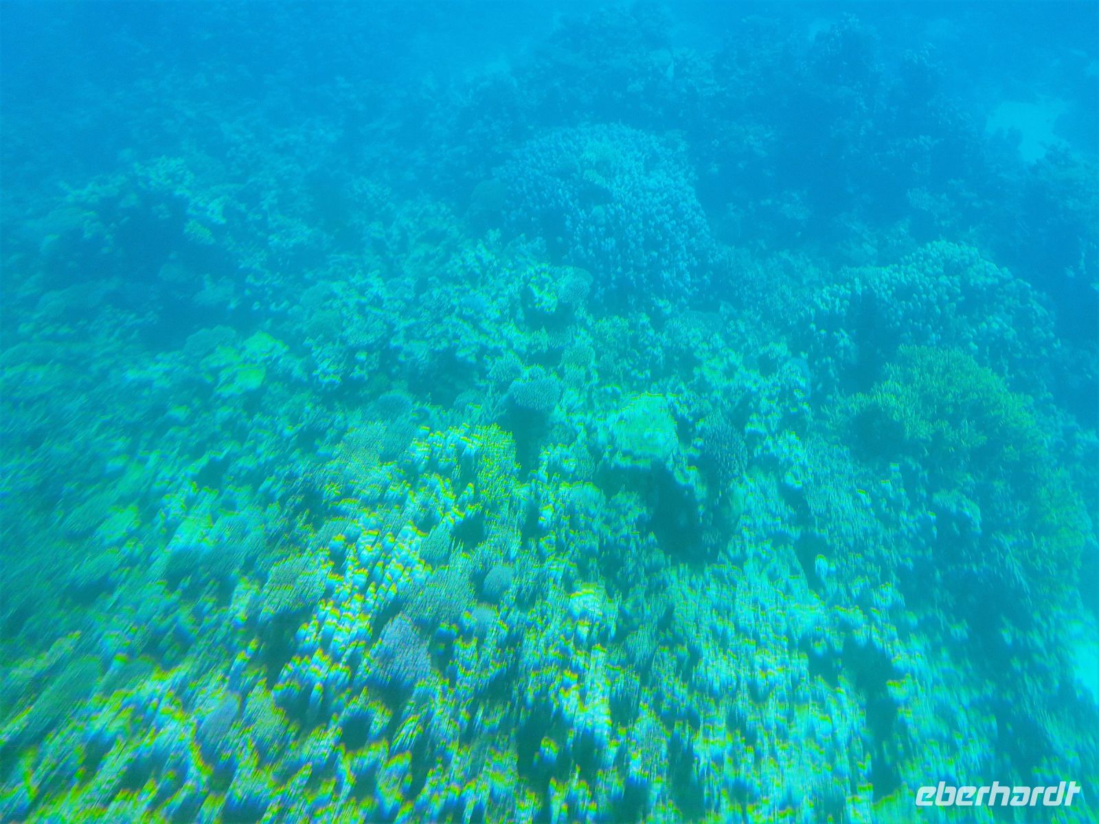 Unterwasserlandschaft