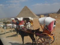 Die Pferdekuscher vor den Pyramiden