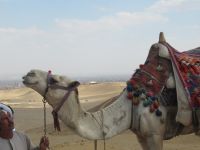 Ich möche auch fotografiert werden... 