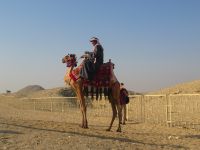 Die Kamelenreiter und Fotografen...