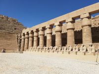 Widdersphinxallee mit Säulen 