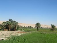 und die grünen Landschaften - meistens bewirtschaftete Flächen