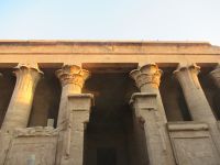 Kapitäle der Säule in Horus Tempel Edfu