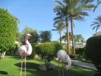 Jaz Makadi Star - Gartenanlage