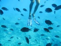 Die Natur und Mensch