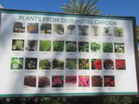 Kleiner Botanik Unterricht 