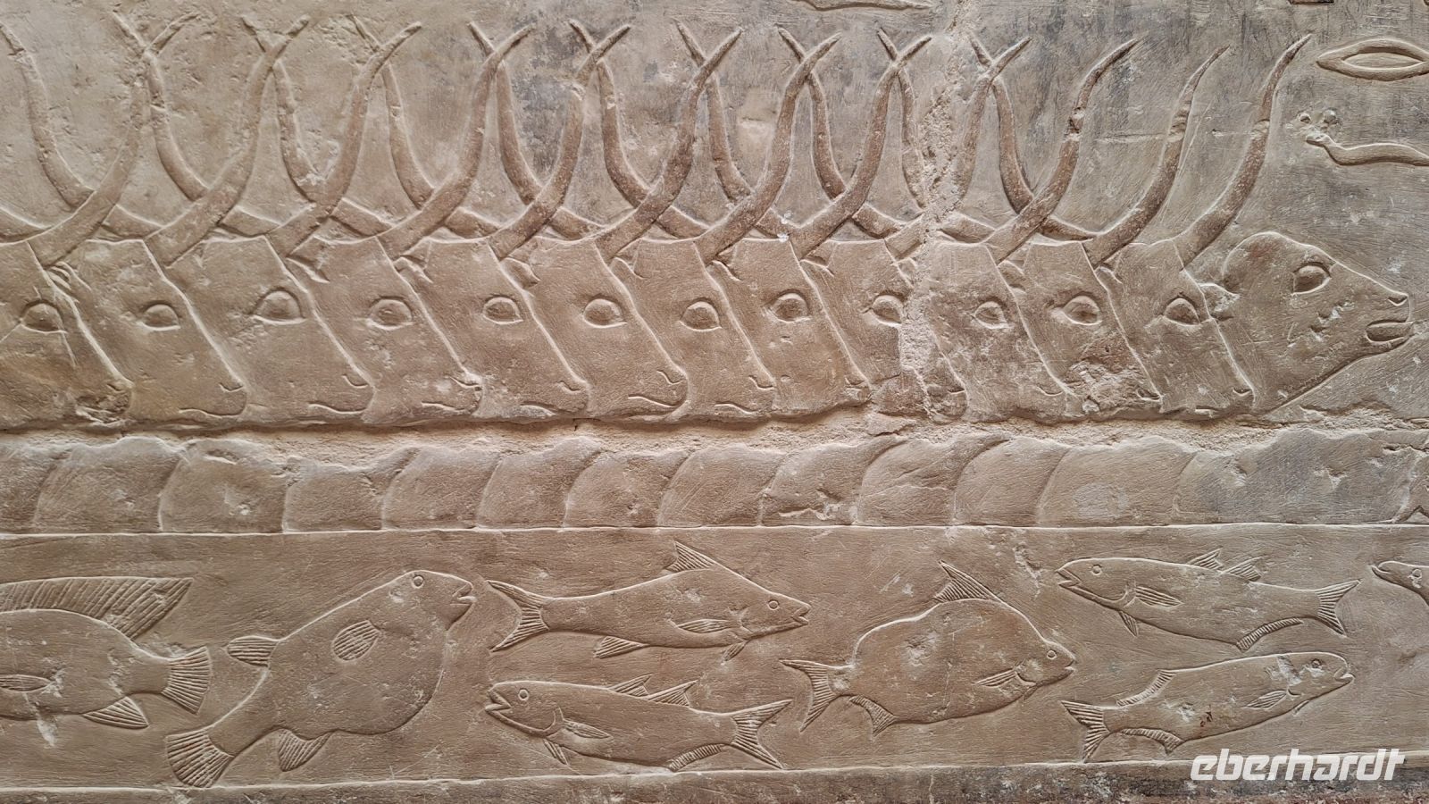 Sakkara: Grab der Prinzessin Idut