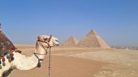 Pyramiden von Gizeh