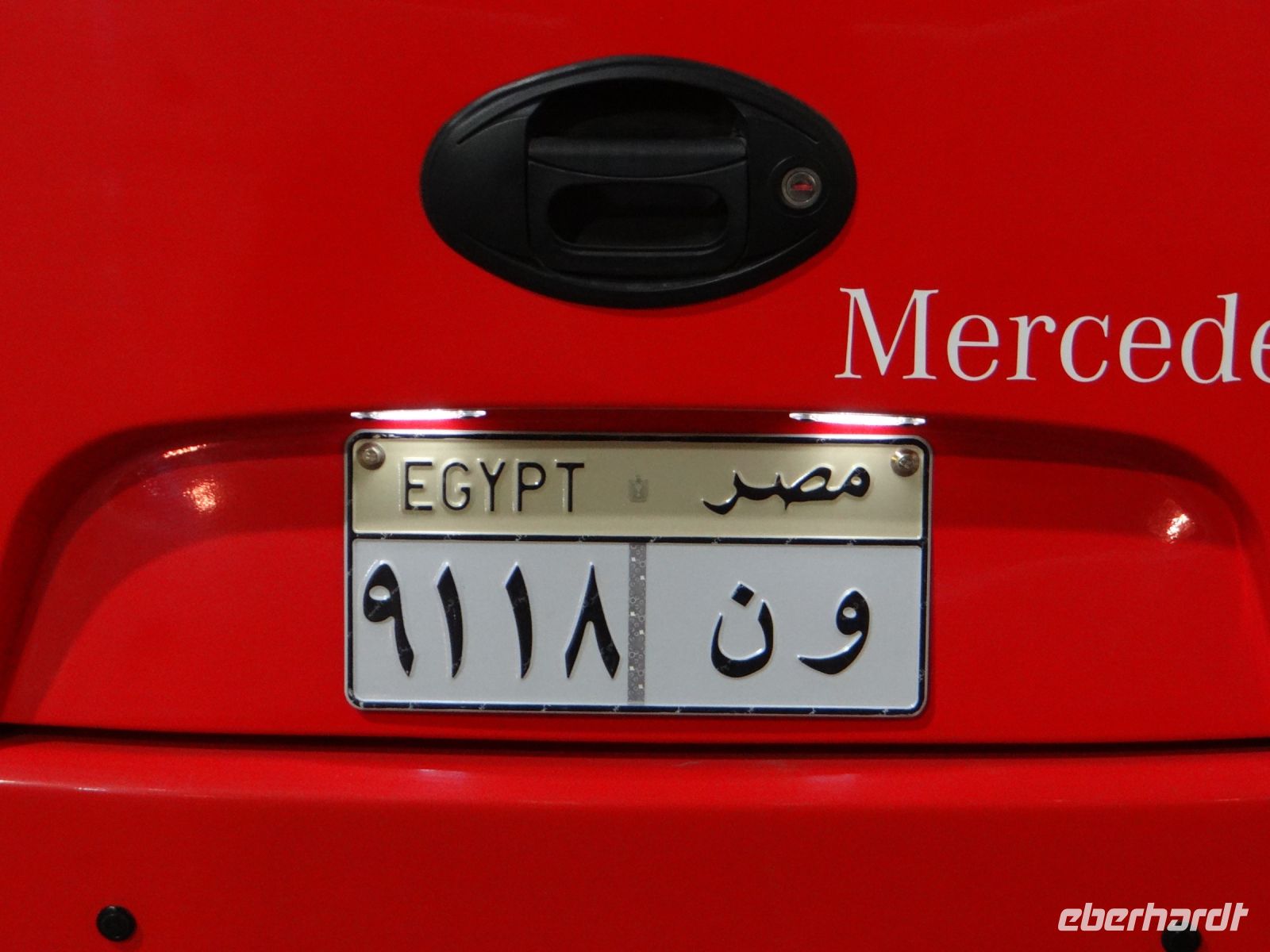 Für unsere Augen sieht es einfach schön aus – kunstvolle Autokennzeichen.