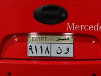 Für unsere Augen sieht es einfach schön aus – kunstvolle Autokennzeichen.