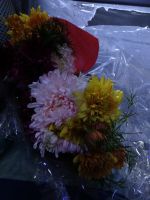 Akram hat für jeden Gast einen Asternstrauß binden lassen. Das ist freut uns sehr.