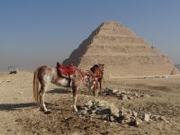 Sakkara, die Stufenpyramide von König Djoser, der erste monumentale Steinbau in der Baugeschichte.