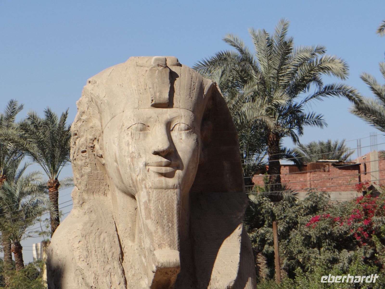 Memphis, das ewig freundliche Gesicht des Sphinx