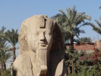 Memphis, das ewig freundliche Gesicht des Sphinx