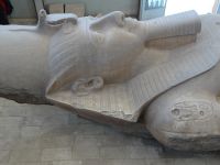 Memphis, die Kolossalstatue Ramses II. mit seiner Kartusche auf der Schulter