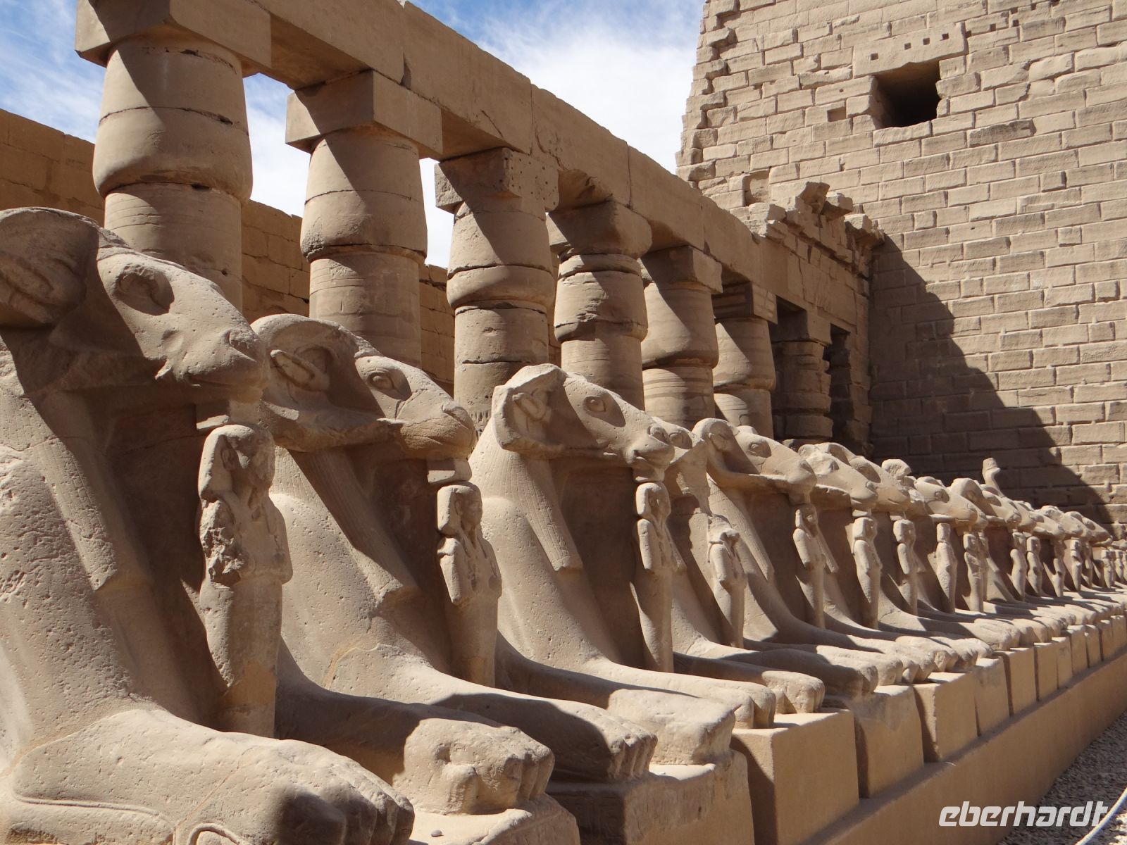 Luxor, Karnak-Tempel, der Widder ist eines der Attribute von Amun, dem der Tempel geweiht ist.